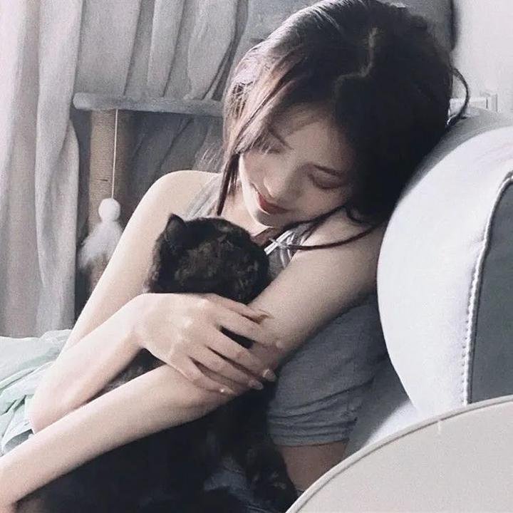 新七侠五义之屠龙案